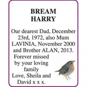 HARRY BREAM